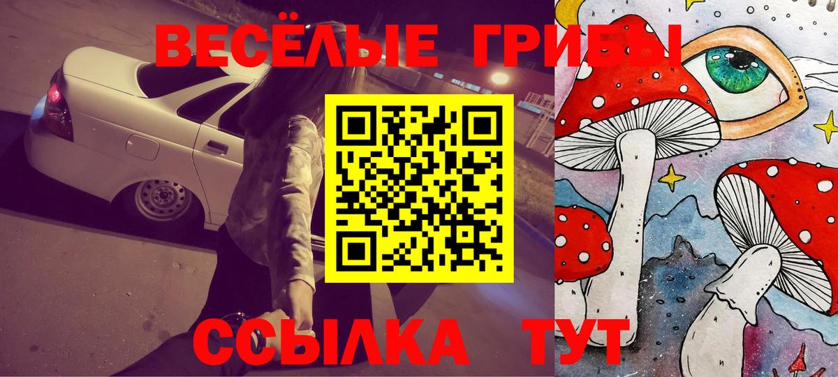 Псилоцибиновые грибы Psilocybe Орёл